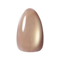 Kokoist Terra Magnet - 51 Mushroom Stone