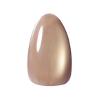 Kokoist Terra Magnet - 51 Mushroom Stone