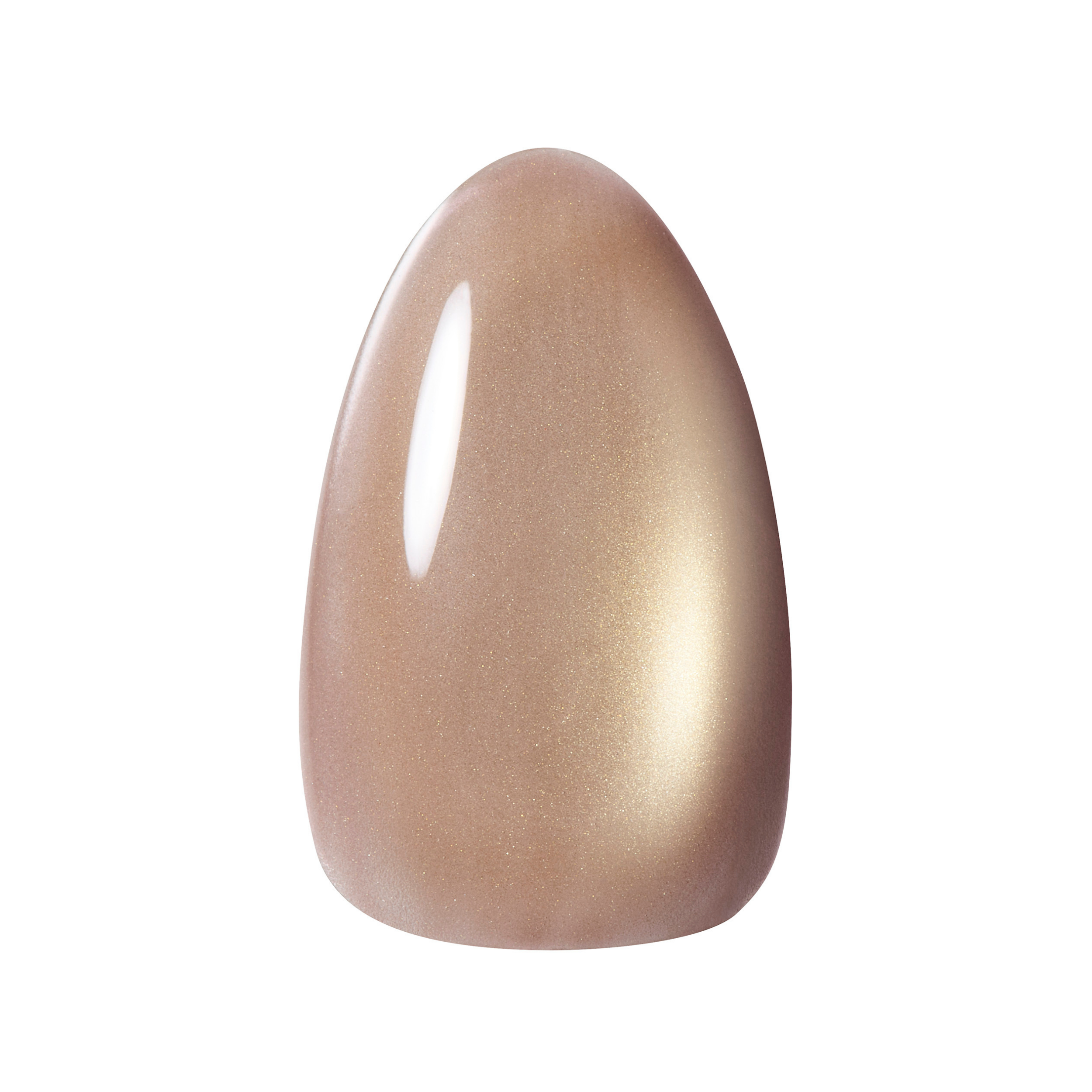 Kokoist Terra Magnet - 51 Mushroom Stone