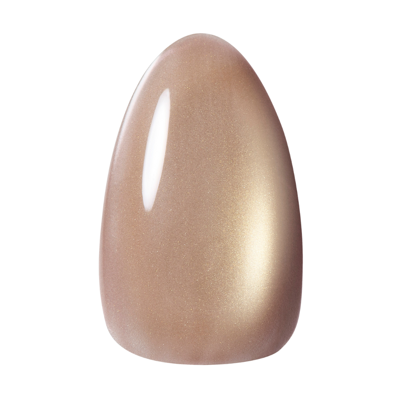 * NEW * Kokoist Terra Magnet - 51 Mushroom Stone