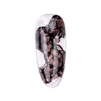 Kokoist Bleeding Ink - 12 Ash Brown