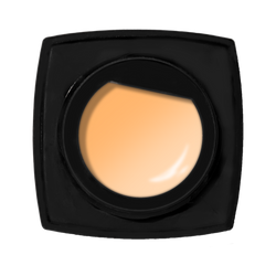 * PRE ORDER * Kokoist Excel Colour Gel - 273S Marigold Petals