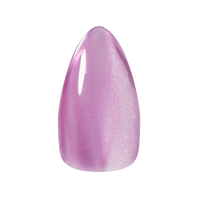 Kokoist Water Magnet - 29 Beets Water