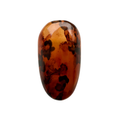 Tortoise Shell Bundle
