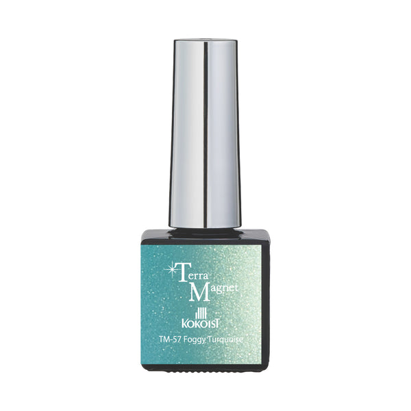 * NEW * Kokoist Terra Magnet - 57 Foggy Turquoise